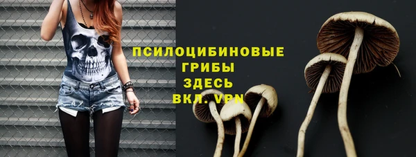 стафф Абаза