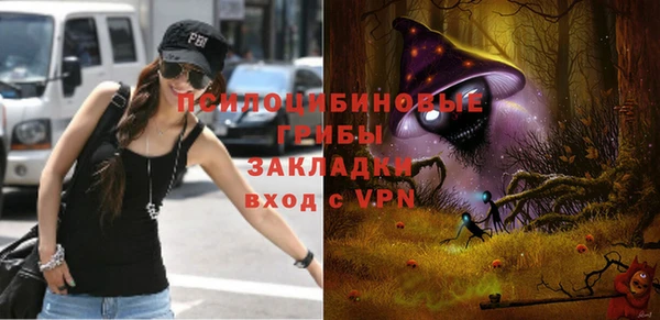 спиды Алексеевка