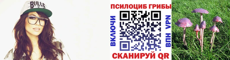 Галлюциногенные грибы Cubensis Западная Двина